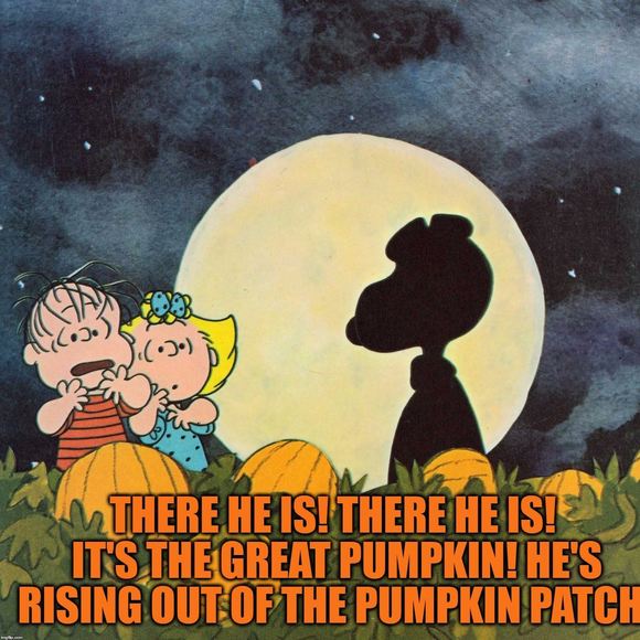 Meet your Posher, Shirley - Picture 1 of 1